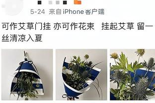 必威体育手机官网网址截图2